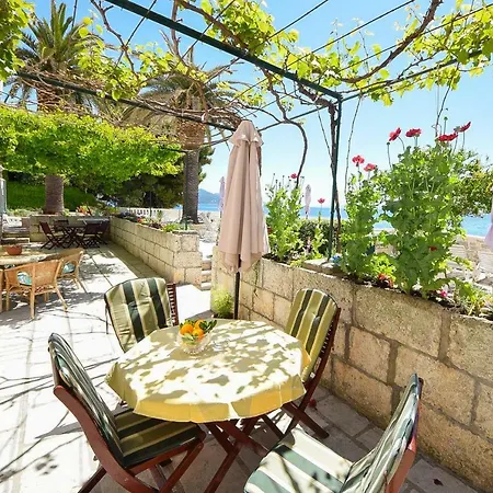 Bradicic Appartement *
